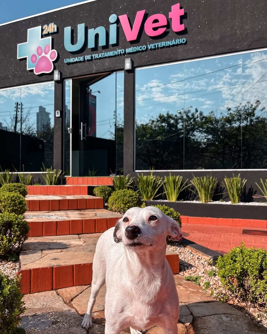 Chica Fachada UniVet